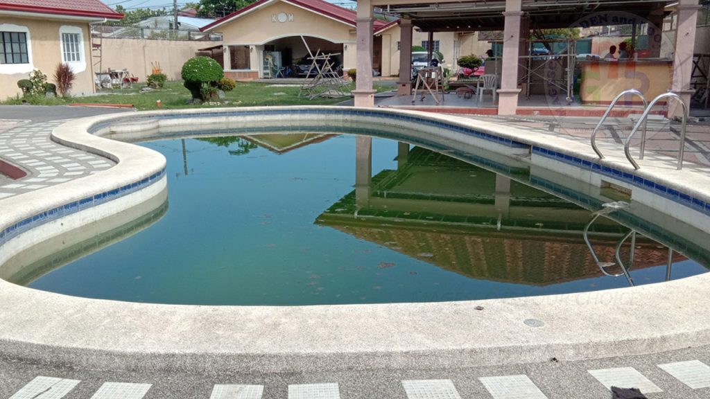 Green Swimming Pool